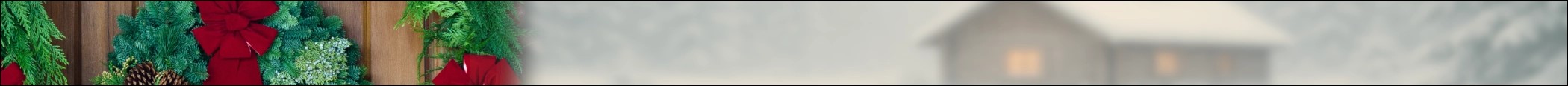 Ornaments Ideas Header Image