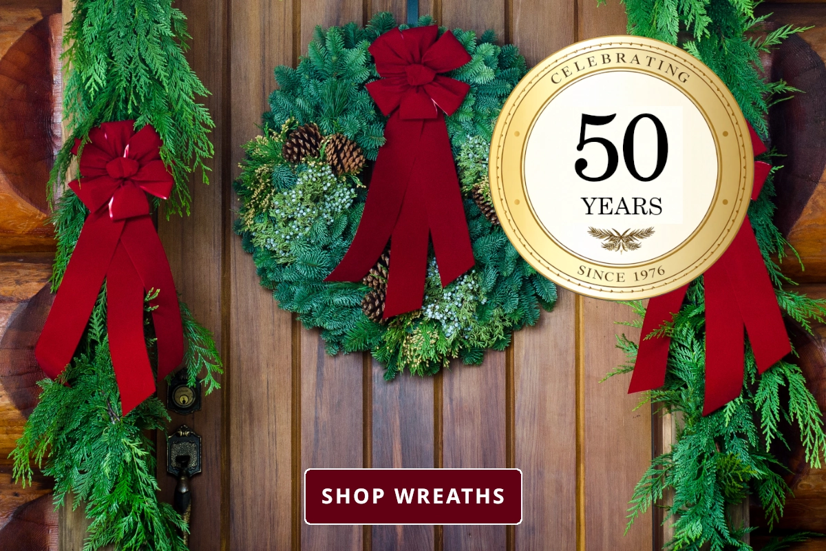 Christmas Forest Welcome Image