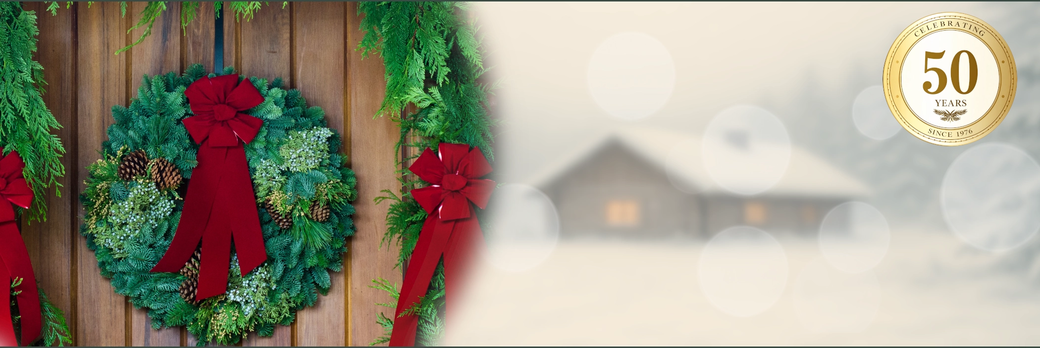Christmas Forest Welcome Image